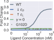 Figure 2—figure supplement 3.