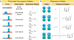 Figure 2—figure supplement 1.