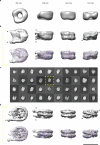 Extended Data Fig. 2