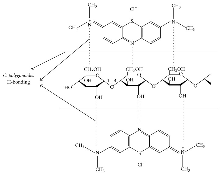 Figure 10