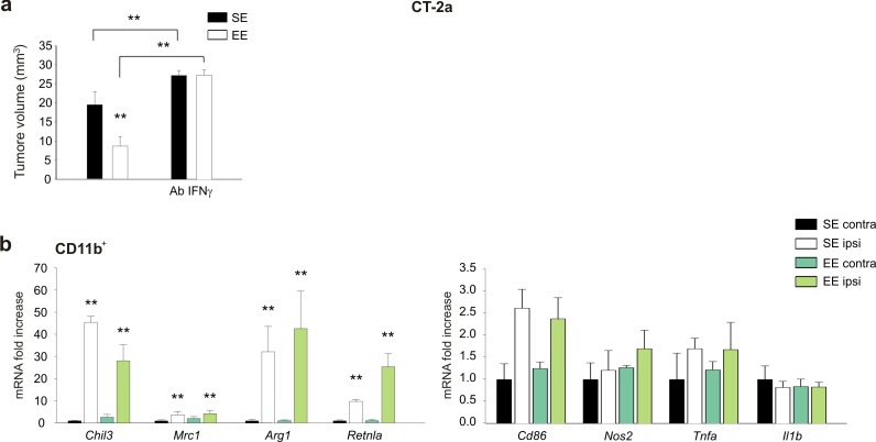 Figure 4—figure supplement 2.