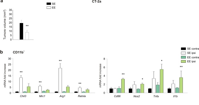 Figure 1—figure supplement 1.