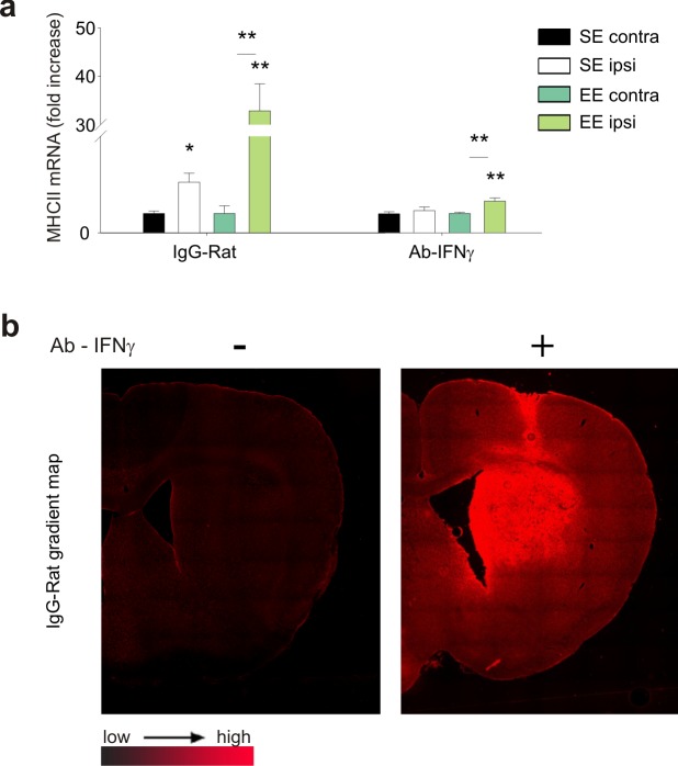 Figure 4—figure supplement 1.