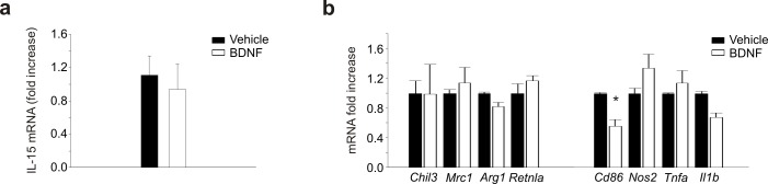 Figure 5—figure supplement 2.