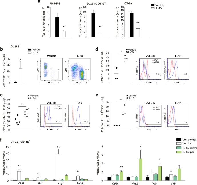 Figure 5—figure supplement 1.