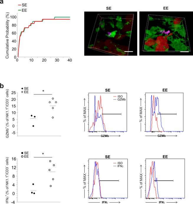 Figure 3—figure supplement 1.