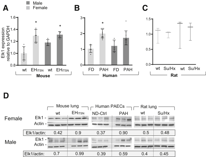 Figure 6