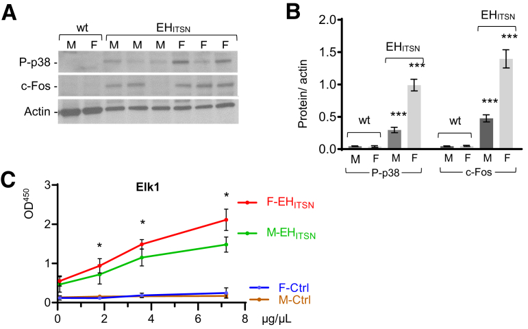 Figure 3