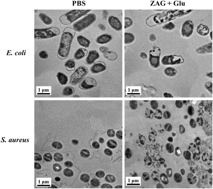 Fig. 8