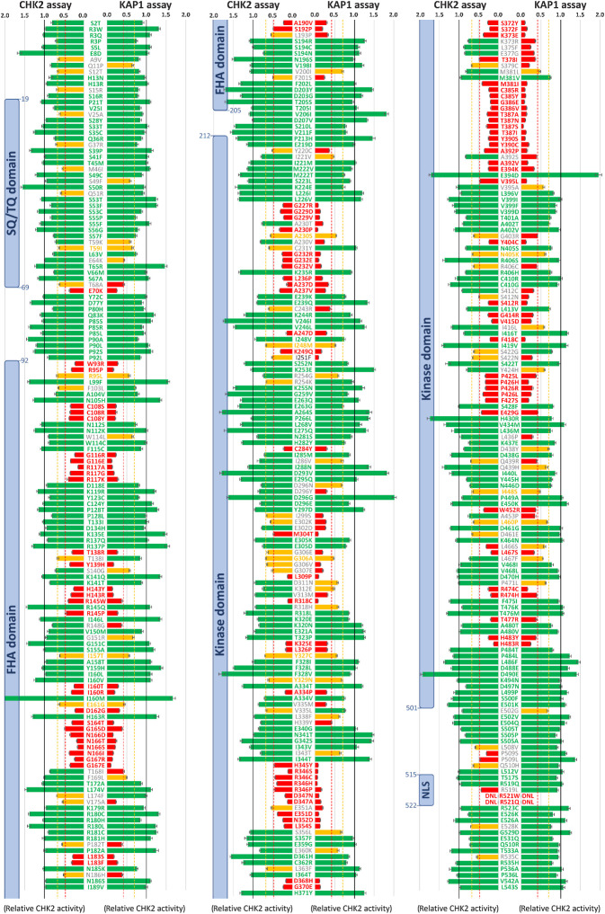 Figure 4. Results of KAP1 and CHK2 kinase assays for 430 successfully analyzed missense CHEK2 variants (shown as an average relative CHK2 kinase activity). Bars are colored as functionally WT-like (green), intermediate (IM; yellow), and impaired (ID; red), respectively, with thresholds for IM variants (0.428 and 0.479) and ID variants (0.705 and 0.710) for KAP1 and CHK2 assays, respectively (dashed lines). Error bars represent standard errors of mean. Color/gray letters for protein variants indicate concordant/discordant functional assays result, respectively. Blue boxes denote conserved CHK2 domains. DNL, variants that do not localize into the nucleus.