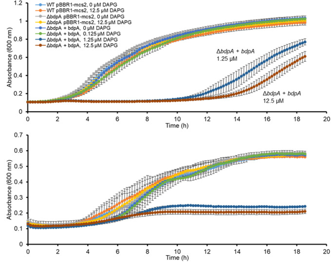 Figure 2—figure supplement 1.