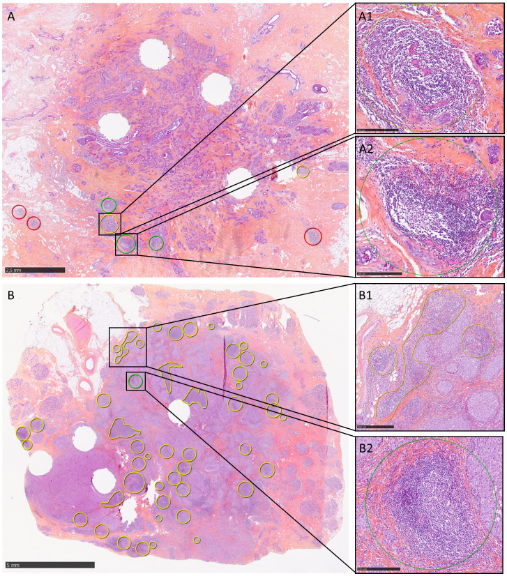 Figure 2