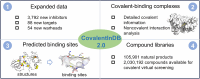 Graphical Abstract