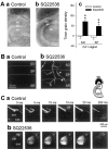 Fig. 9.