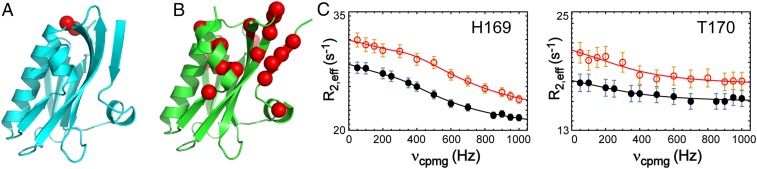 Fig. 6.