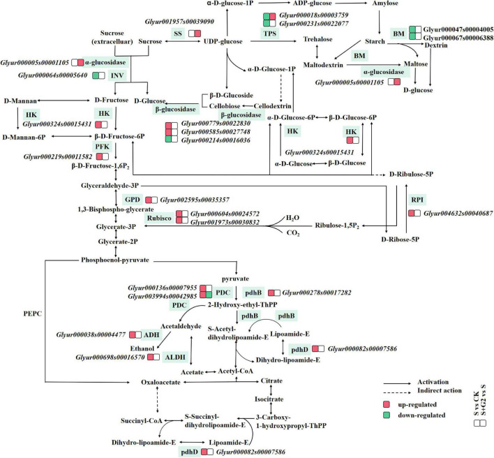 FIGURE 4