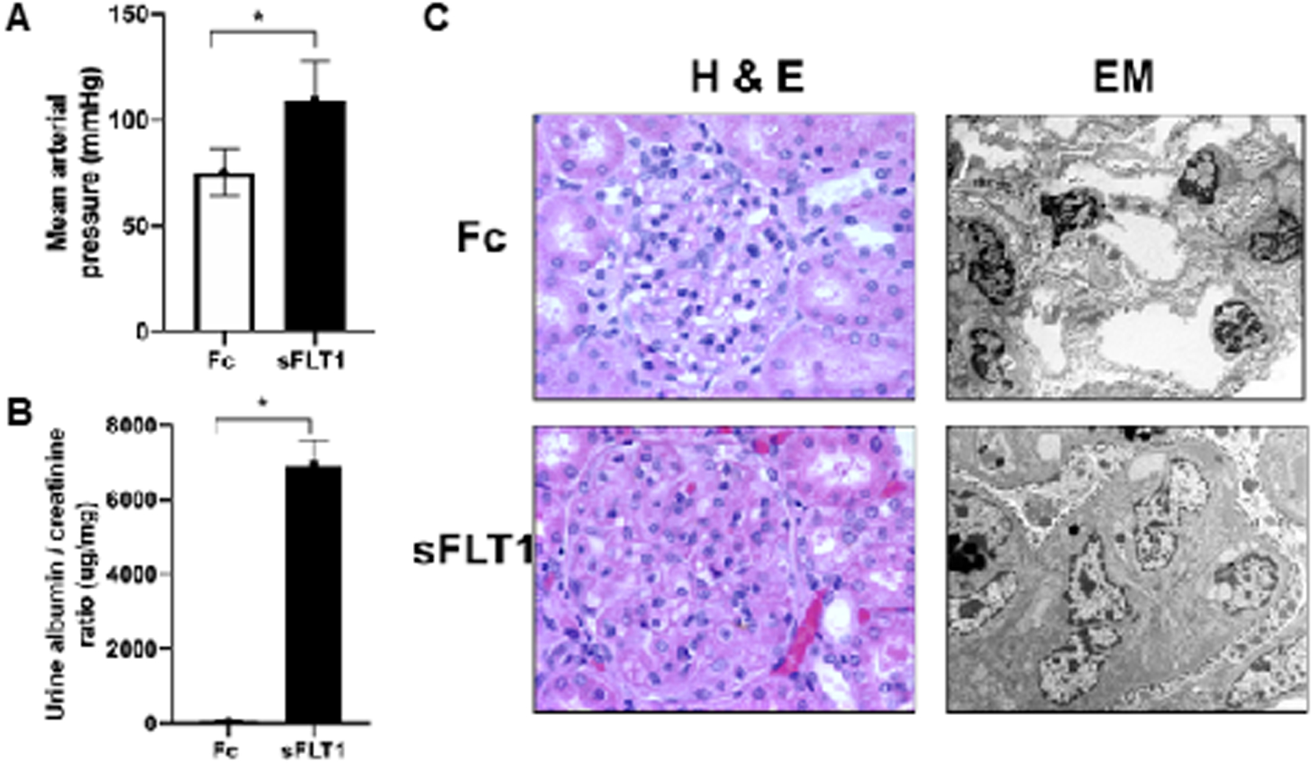 Fig 3: