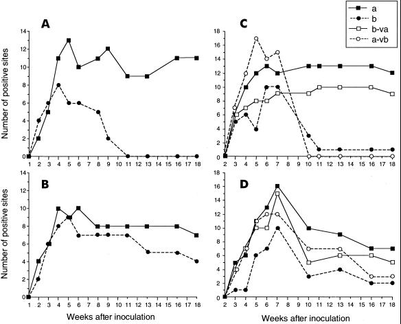 FIG. 4