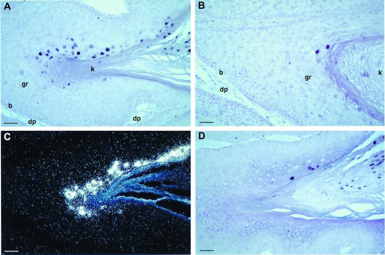 FIG. 7