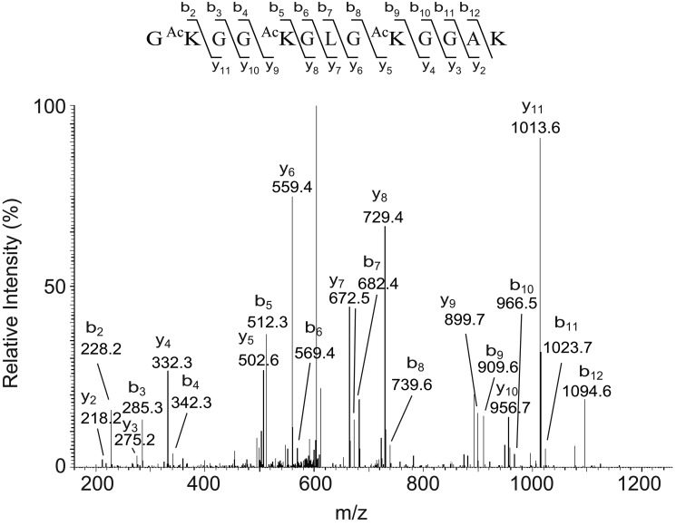 FIGURE 1.