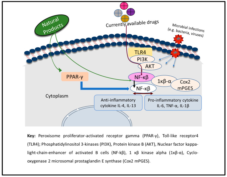 Figure 13