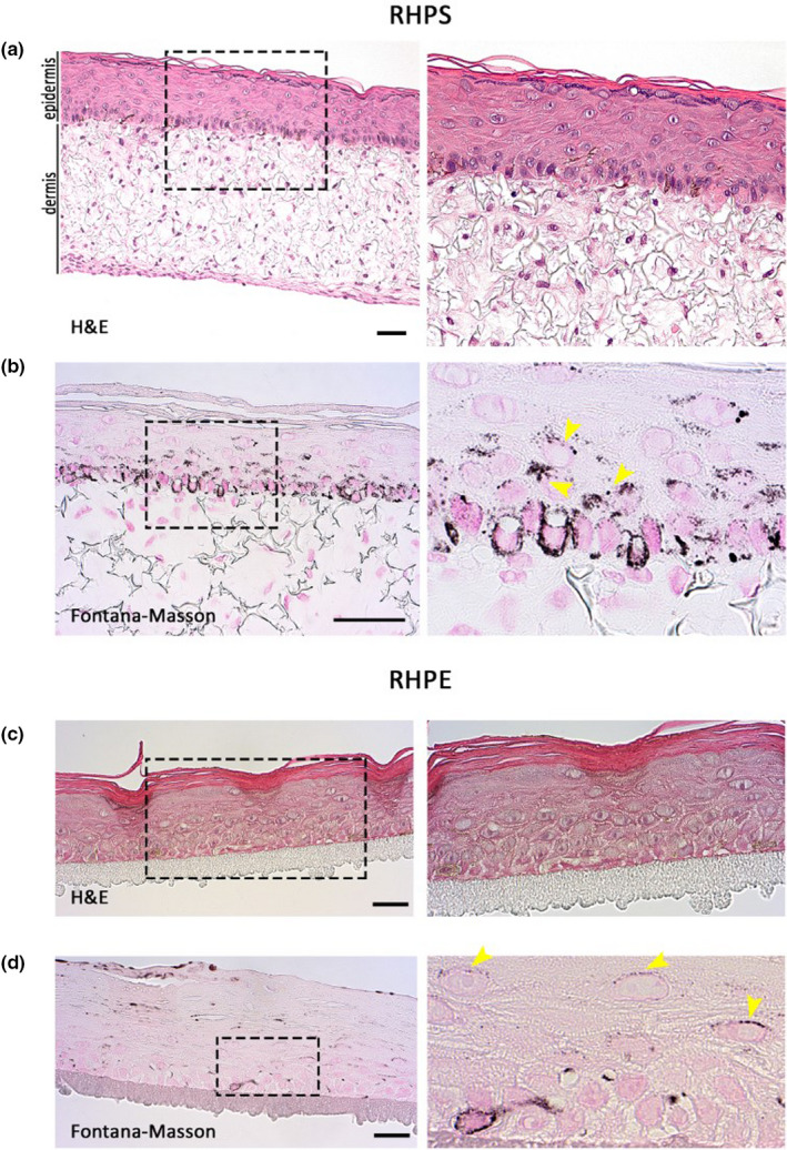 FIGURE 2