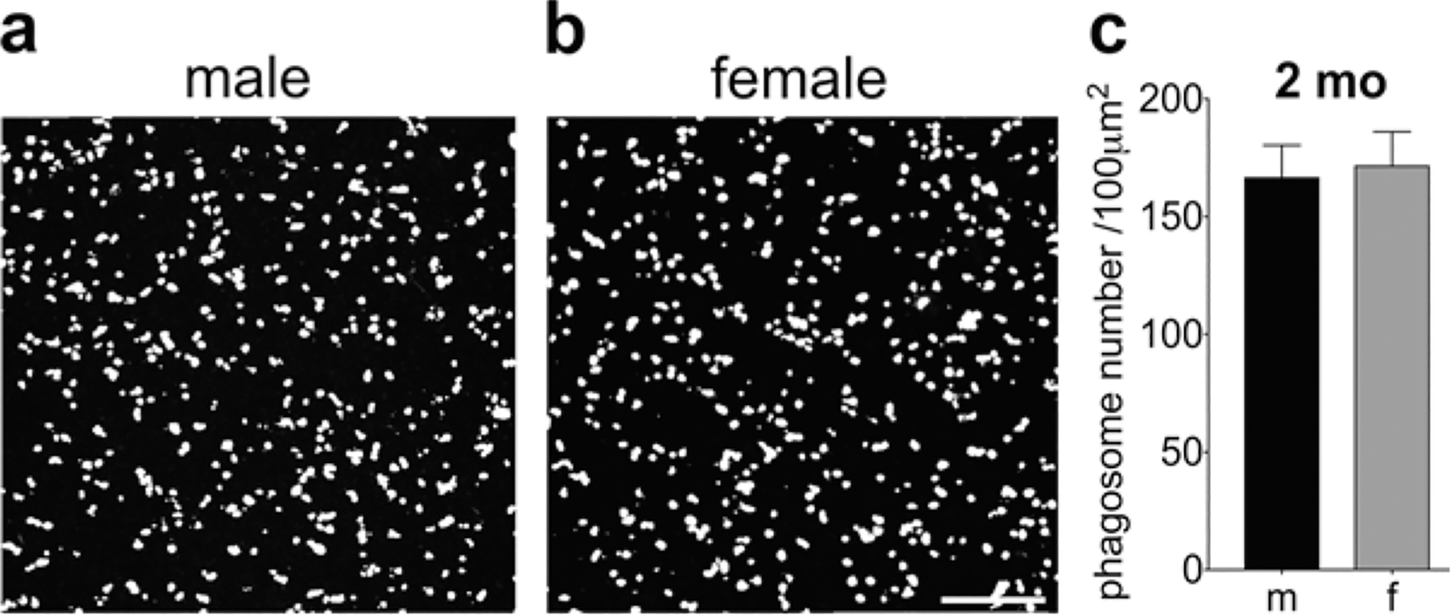 Fig. 83.3