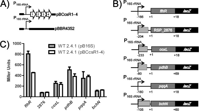 FIG 3