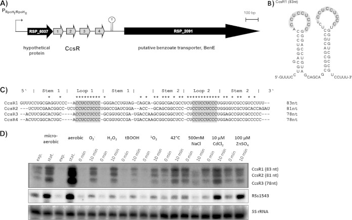 FIG 1