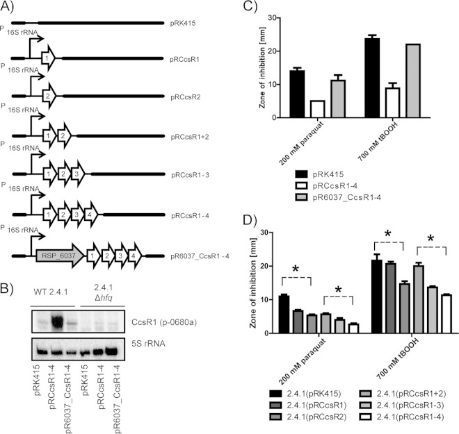 FIG 2