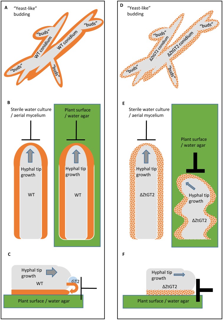 Fig 7