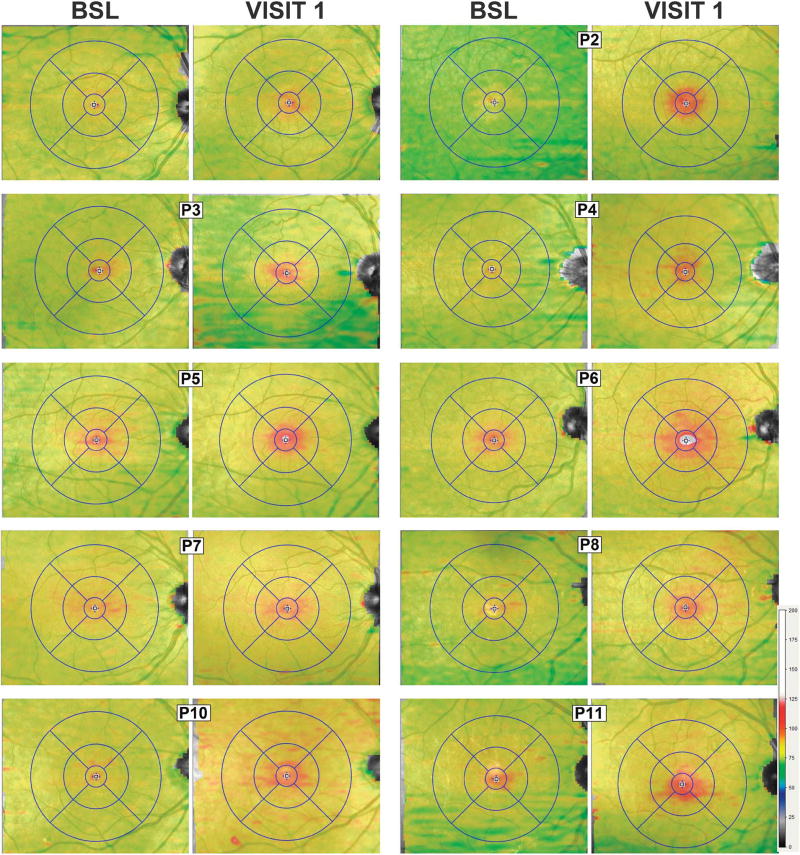 Fig. 3