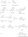 Scheme 18