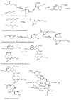 Scheme 6