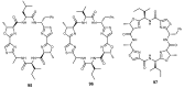 Figure 20