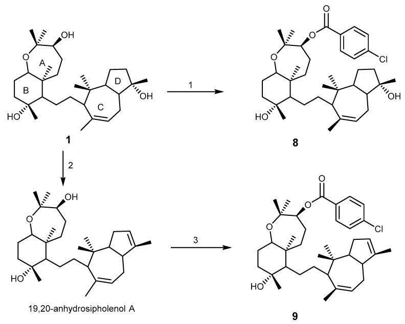 Scheme 1