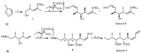 Scheme 5