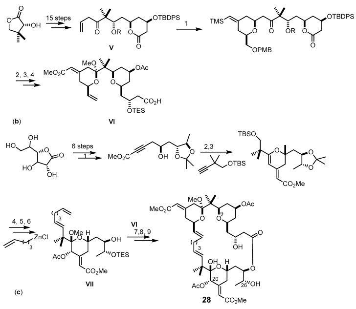 Scheme 4