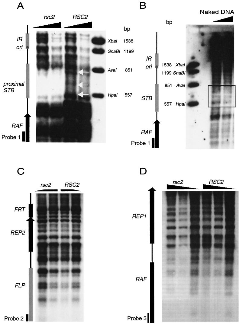 FIG. 5.