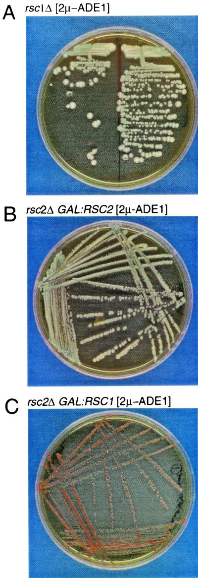 FIG. 6.