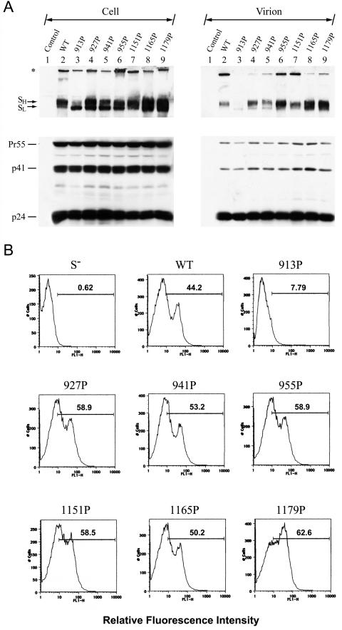 FIG. 6.