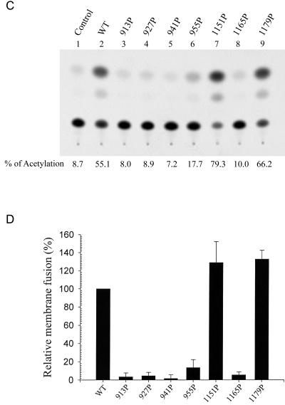 FIG.5.