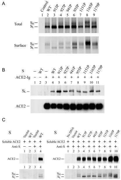 FIG. 4.