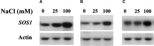 Figure 10.