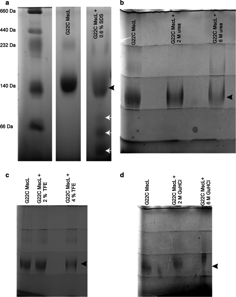 Fig. 3