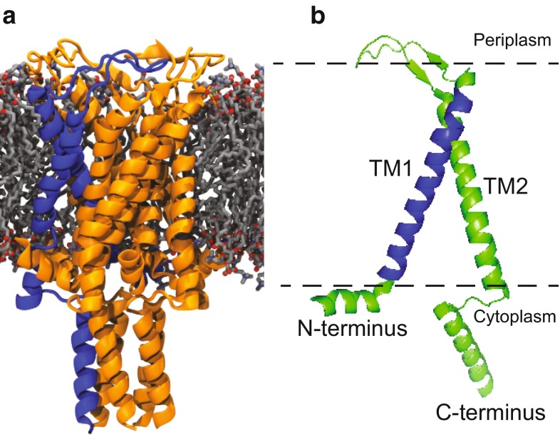 Fig. 1