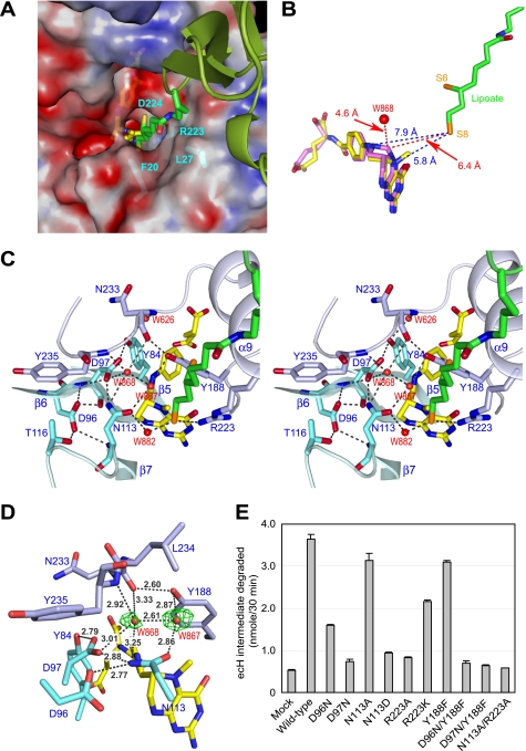 FIGURE 3.