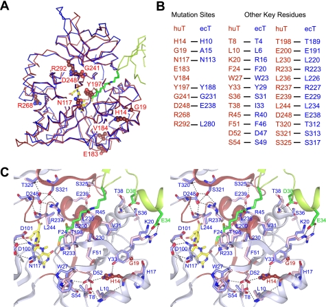 FIGURE 4.