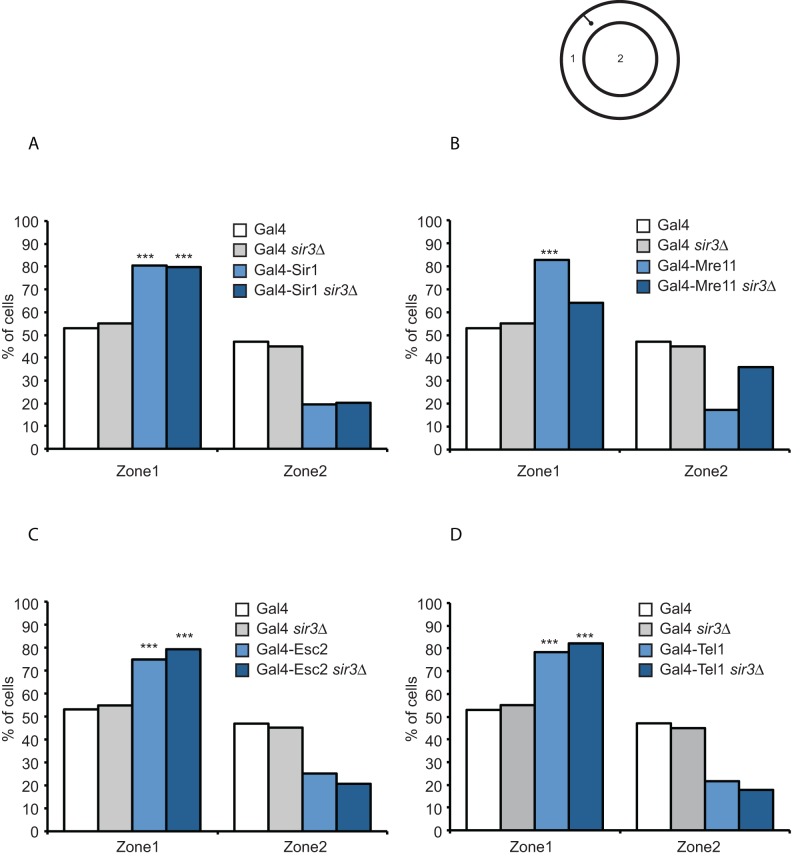 FIGURE 9: