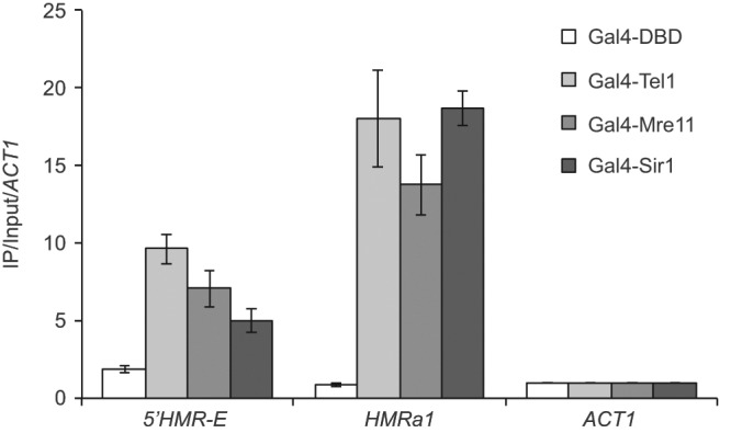 FIGURE 5: